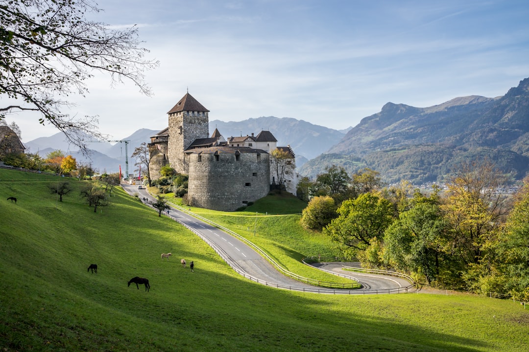 Liechtenstein eSIM